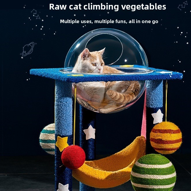 "Affordable  Fun & Smart Cat Play Toys Shop Now & Save"