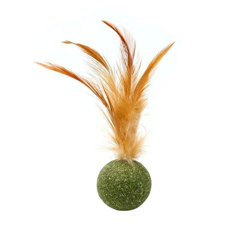 Cat Toys