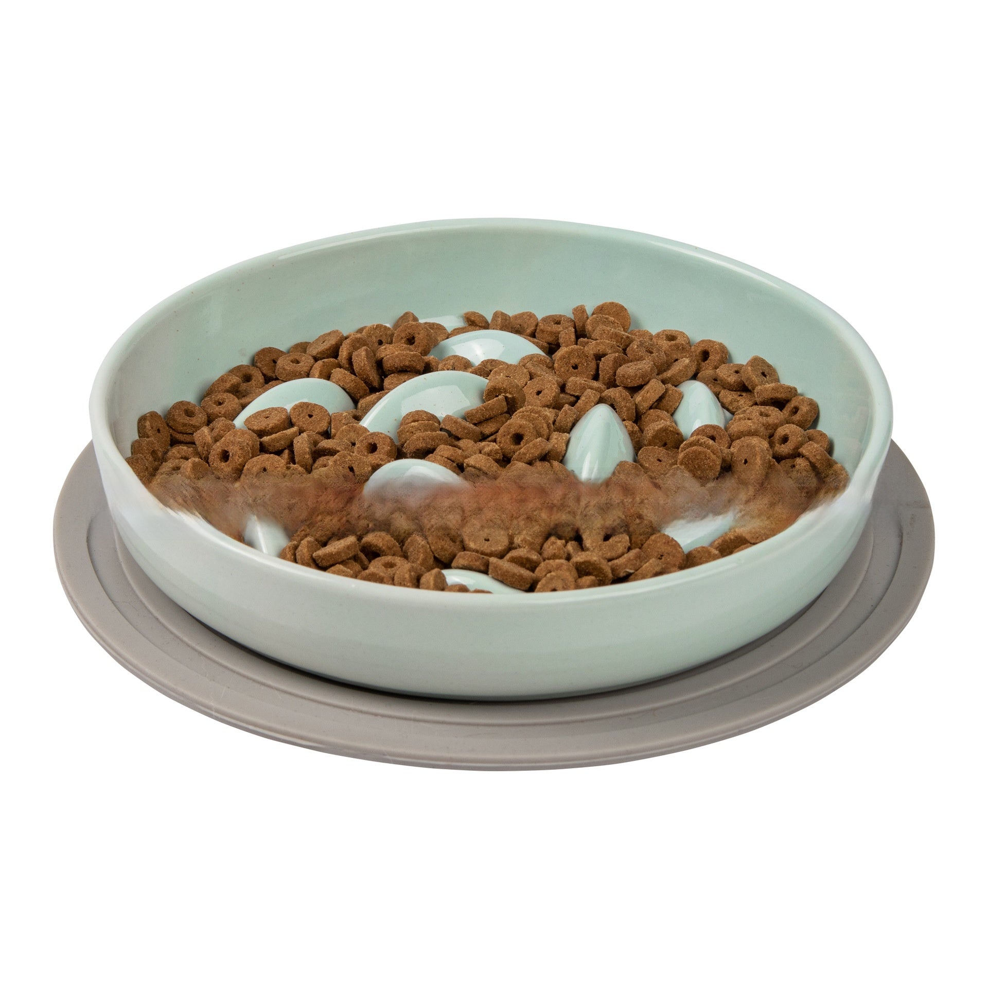 Ceramic Elevated Cat Slow Feeder Bowl
