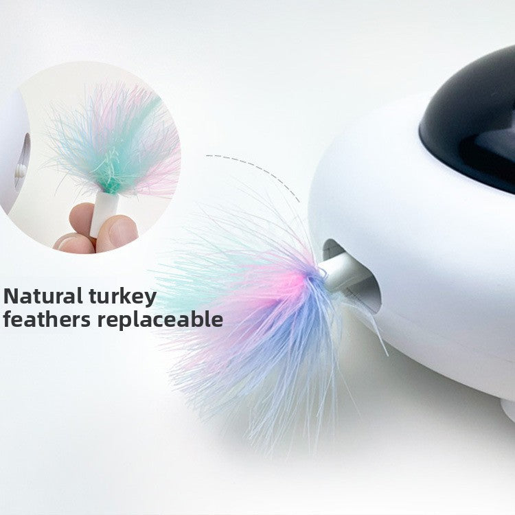 Electric Rotating Cat Teaser with Hair Removal