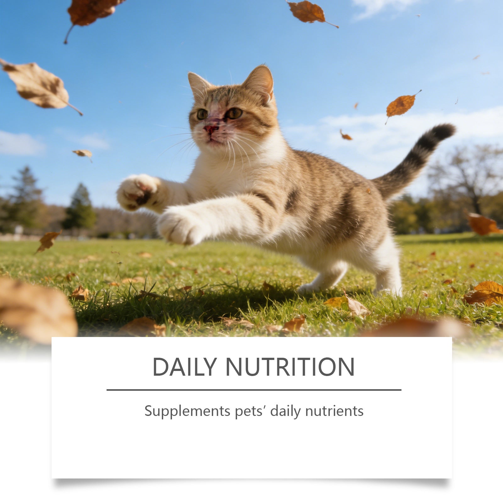 Cat food containing taurine powder