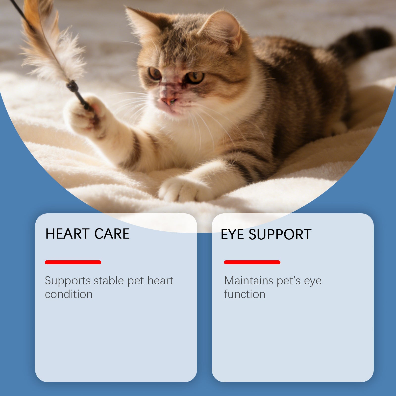 Cat food containing taurine powder