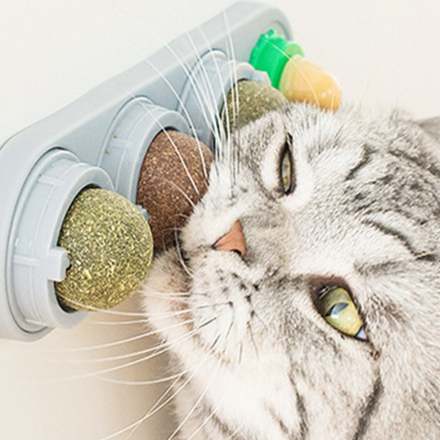 Catnip Ball Cat Teething Toy