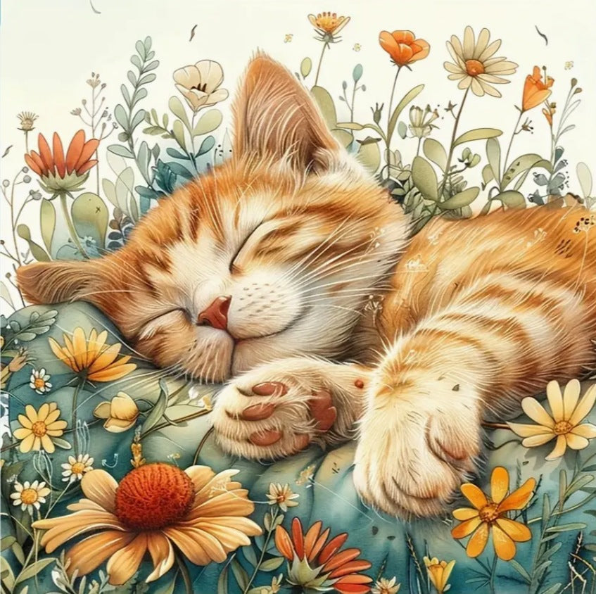 DIY 5D Full Diamond Cat Painting Home Decor