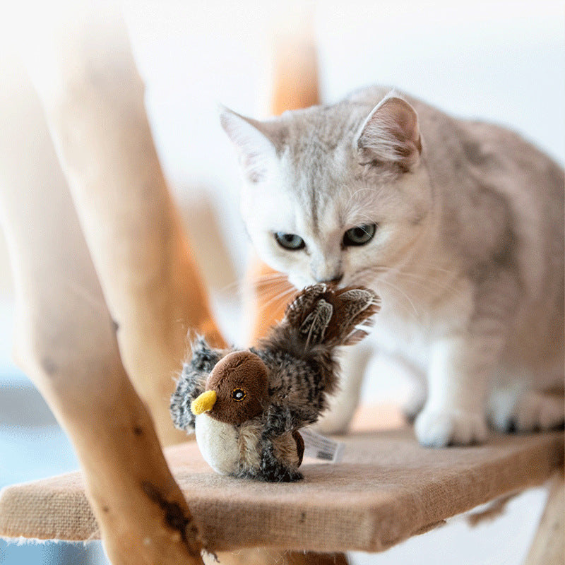 Interactive Plush Cat Toys with Sound