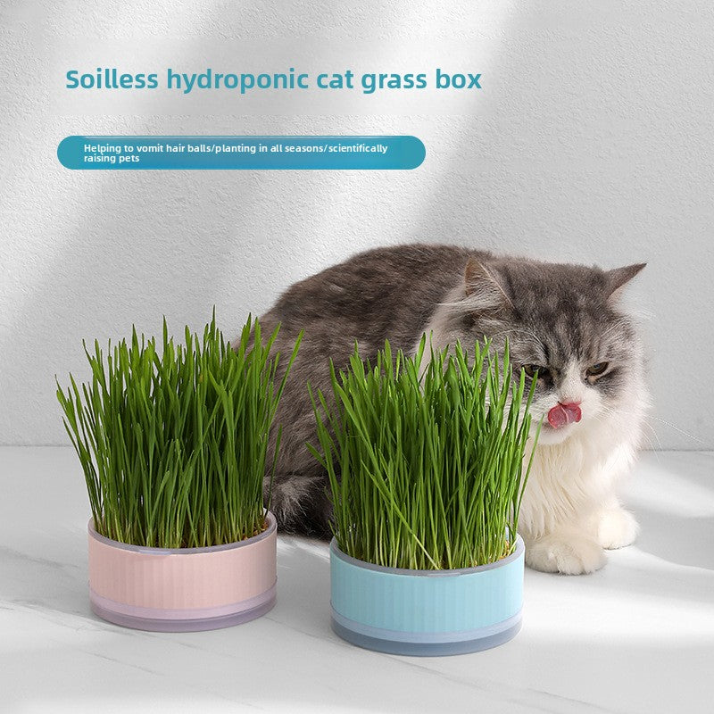Pet Supplies Cat Grass Pot Toys