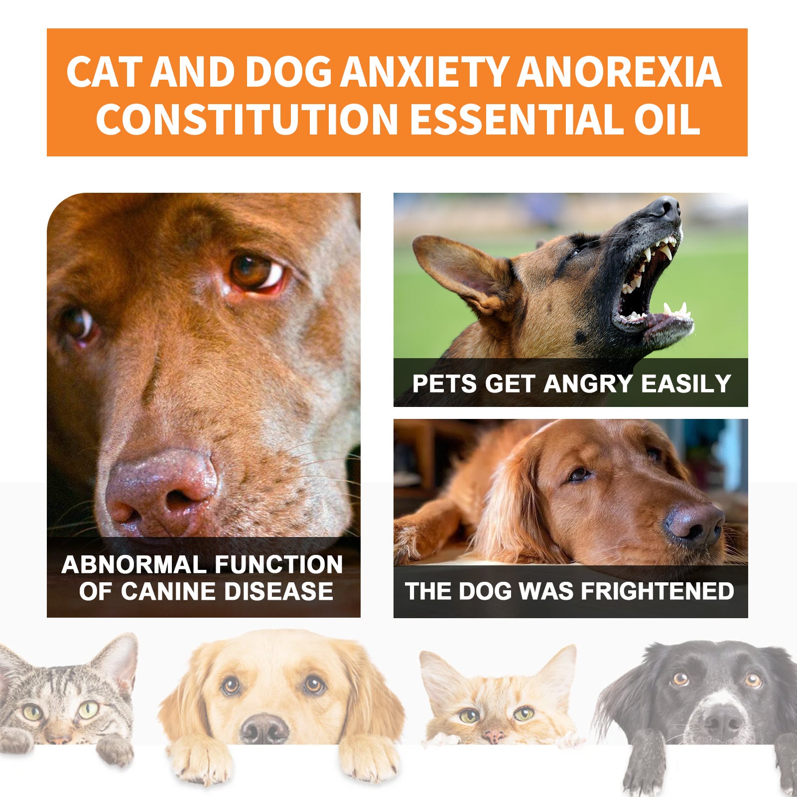 Cat and Dog Care Essence